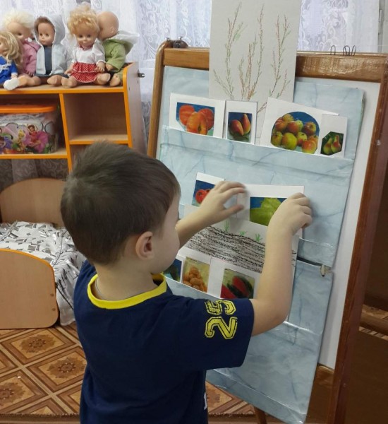 IMG_20161219_143154_2